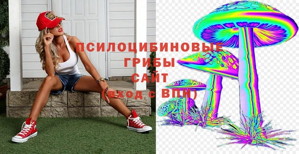 соль ск Дмитровск