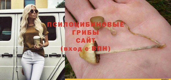 хмурый Рославль
