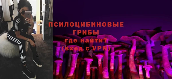 соль ск Дмитровск