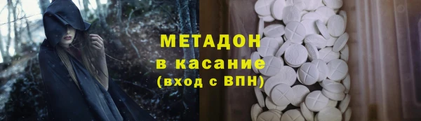 прущие грибы Елизово