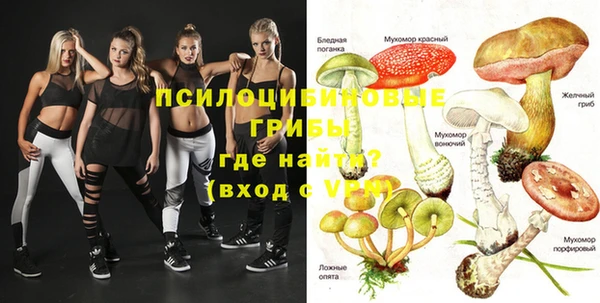 гидропоника Дмитриев
