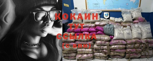 соль ск Дмитровск