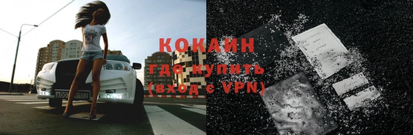 гидропоника Дмитриев