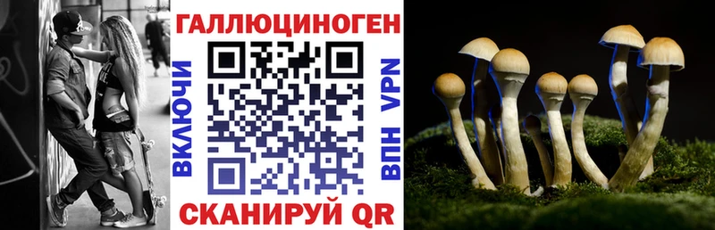 сколько стоит  Верхняя Тура  Галлюциногенные грибы прущие грибы 